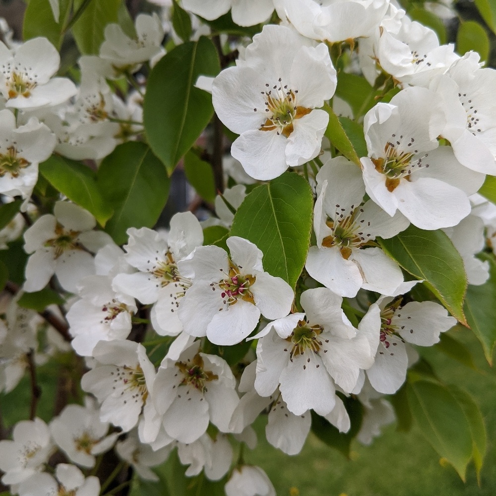 Meet your Posher, Marcie